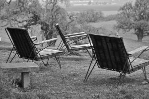 PICT0093.JPG